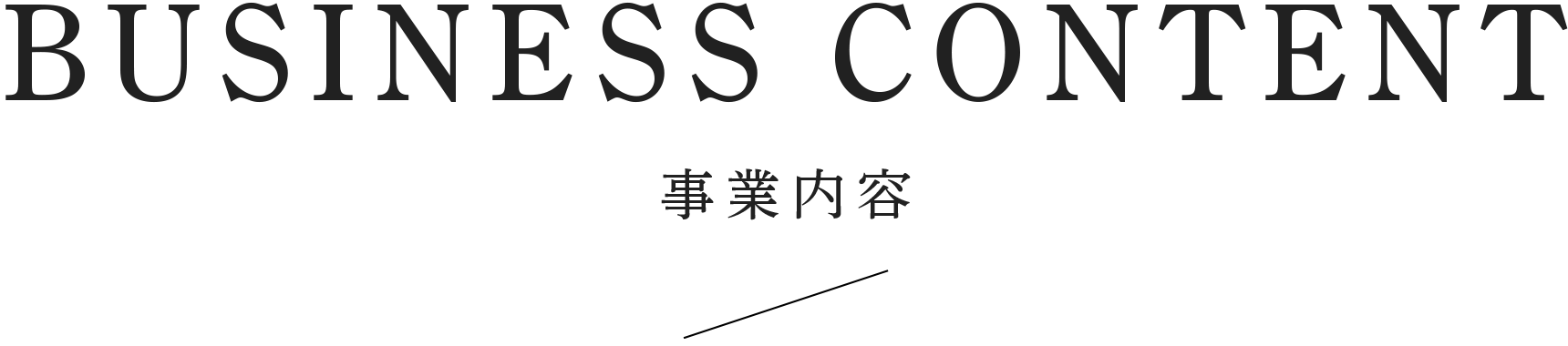 事業内容